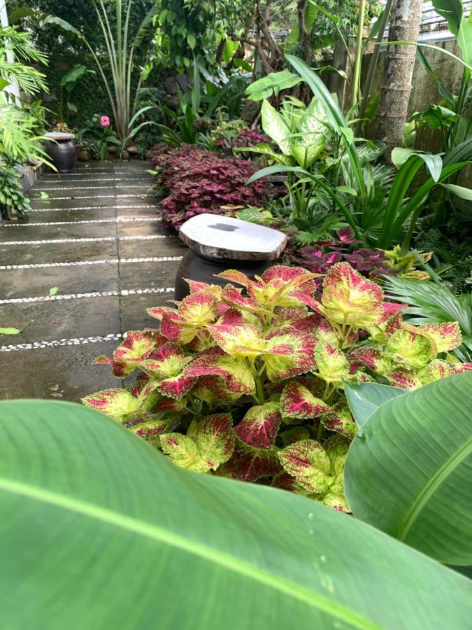 Apartament Hoi An Sunny Garden Zewnętrze zdjęcie