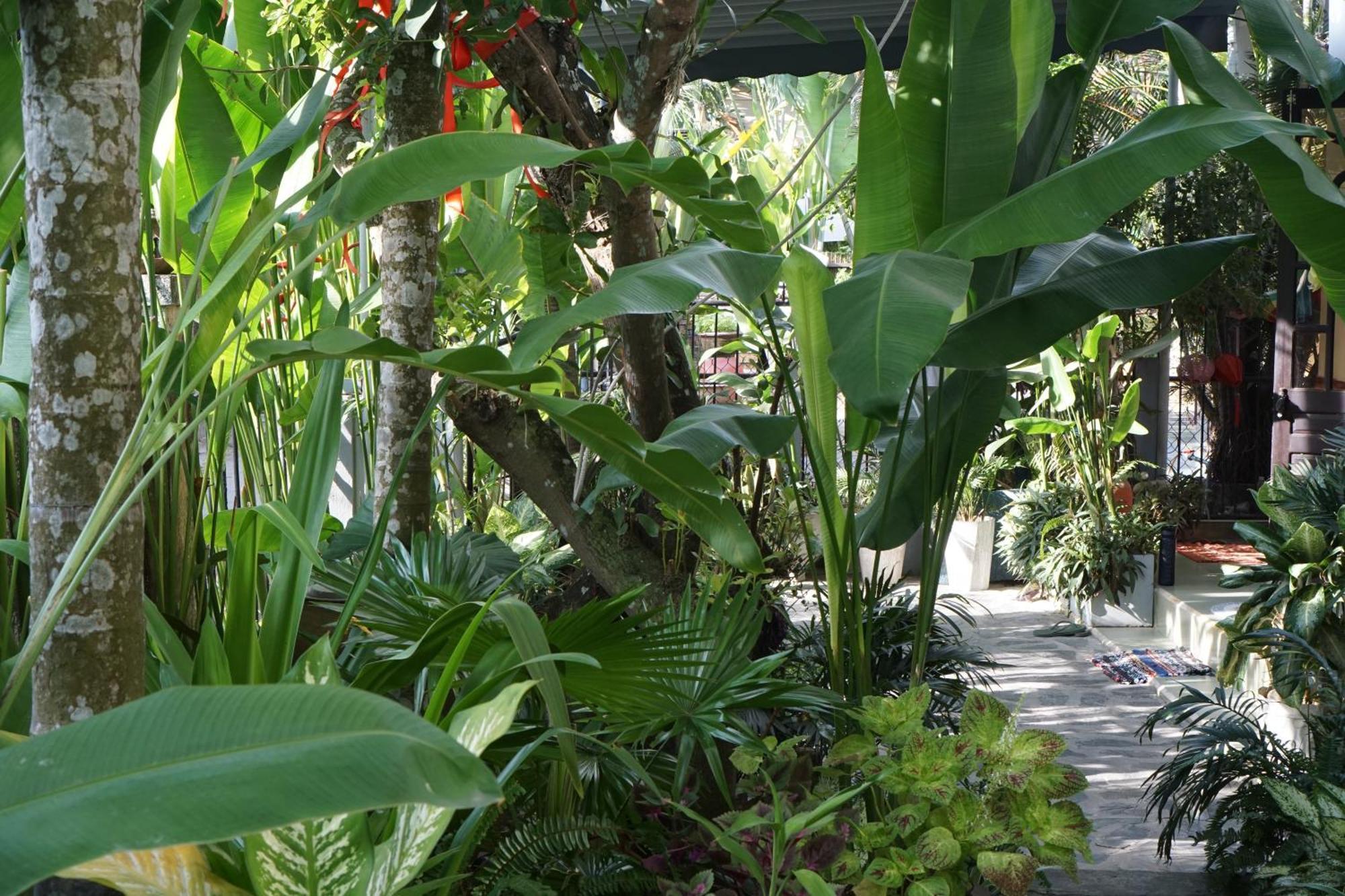 Apartament Hoi An Sunny Garden Zewnętrze zdjęcie