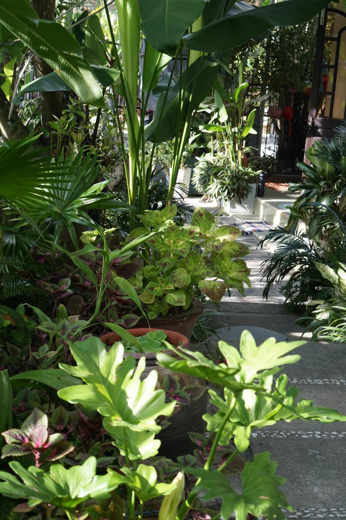 Apartament Hoi An Sunny Garden Zewnętrze zdjęcie