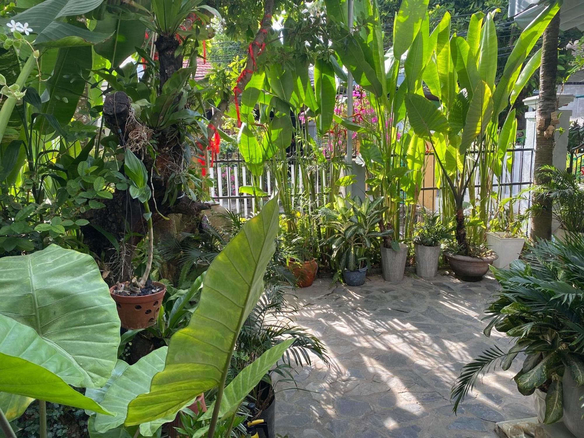 Apartament Hoi An Sunny Garden Zewnętrze zdjęcie