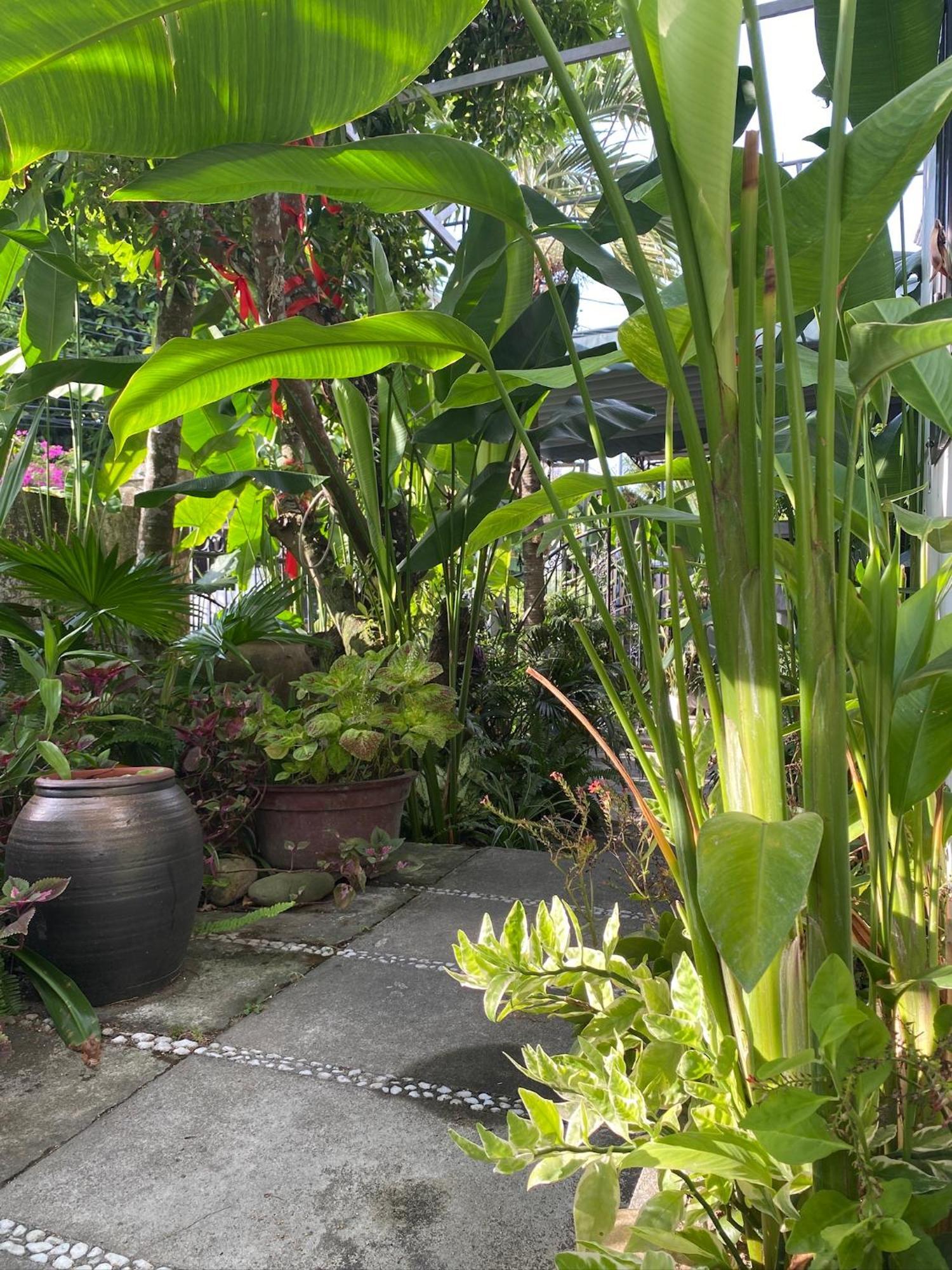 Apartament Hoi An Sunny Garden Zewnętrze zdjęcie